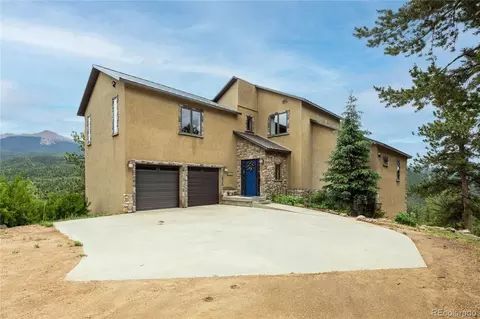 239 Wildlife Pt, Divide, CO 80814