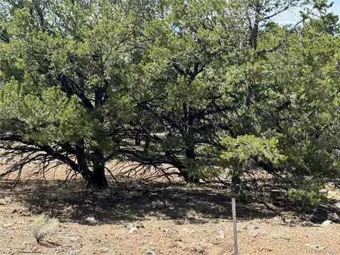 00103 Ute Dr, Mosca, CO 81146 photo 9