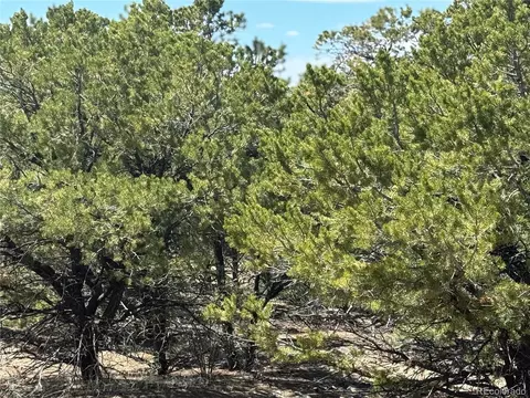 00103 Ute Dr, Mosca, CO 81146 photo 11