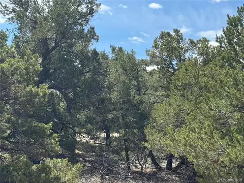 00103 Ute Dr, Mosca, CO 81146 photo 13