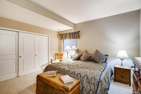 11625 Colony Loop, Parker, CO 80138 photo 22