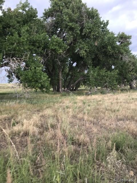 45255 Wolf Creek Dr, Bennett, CO 80102 photo 3