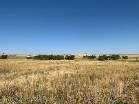 45255 Wolf Creek Dr, Bennett, CO 80102 photo 2