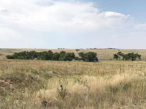 45255 Wolf Creek Dr, Bennett, CO 80102 photo 1