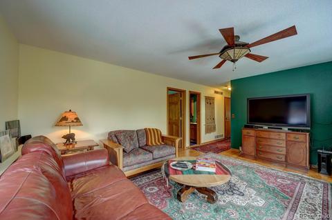 35 Zip Ln, Bailey, CO 80421 photo 20