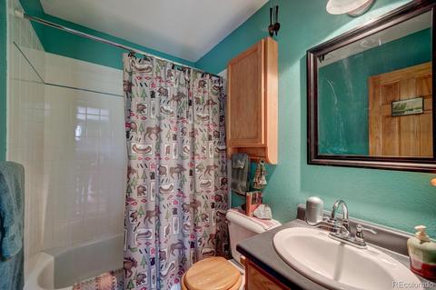 35 Zip Ln, Bailey, CO 80421 photo 23