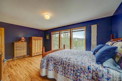 35 Zip Ln, Bailey, CO 80421 photo 17