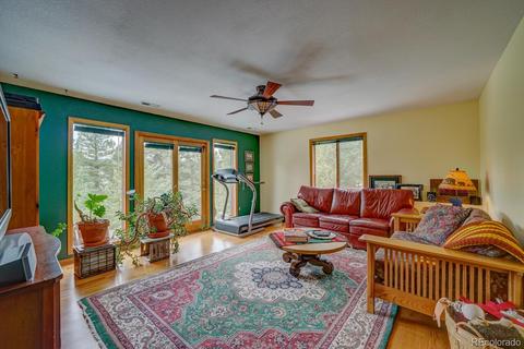 35 Zip Ln, Bailey, CO 80421 photo 19