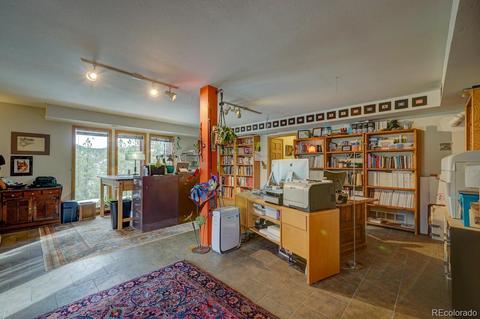 35 Zip Ln, Bailey, CO 80421 photo 26