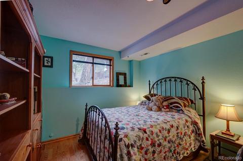 35 Zip Ln, Bailey, CO 80421 photo 21