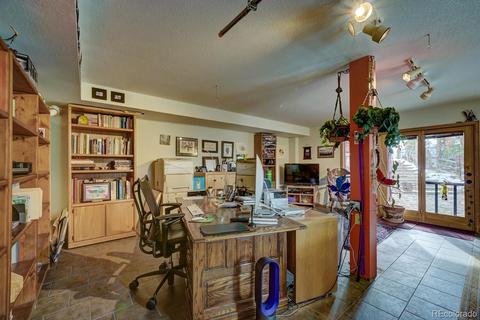 35 Zip Ln, Bailey, CO 80421 photo 24