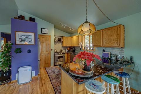 35 Zip Ln, Bailey, CO 80421 photo 8