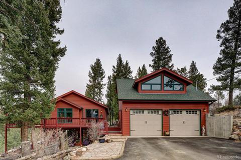35 Zip Ln, Bailey, CO 80421 photo 29
