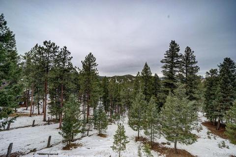 35 Zip Ln, Bailey, CO 80421 photo 32