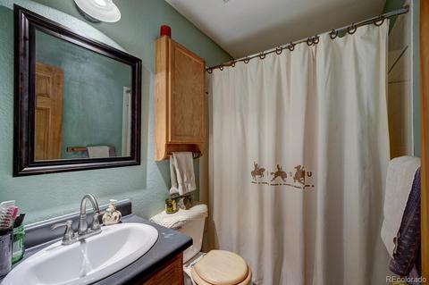 35 Zip Ln, Bailey, CO 80421 photo 14