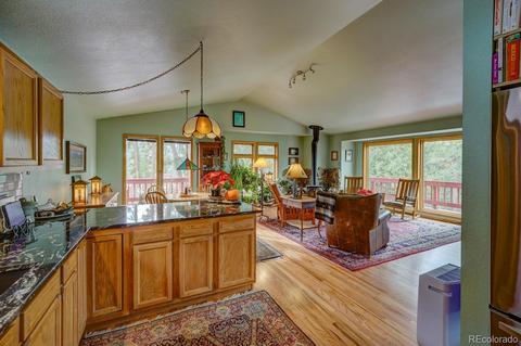 35 Zip Ln, Bailey, CO 80421 photo 11