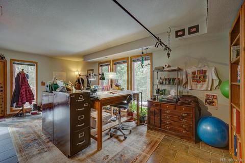 35 Zip Ln, Bailey, CO 80421 photo 25