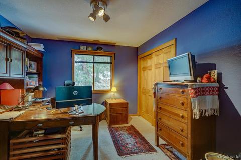 35 Zip Ln, Bailey, CO 80421 photo 12