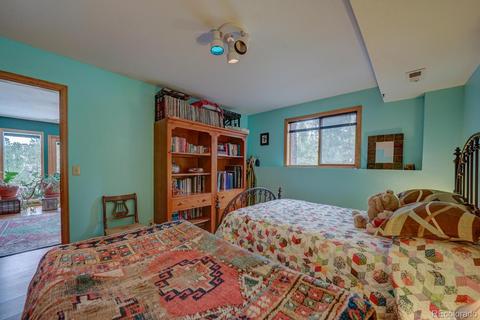 35 Zip Ln, Bailey, CO 80421 photo 22
