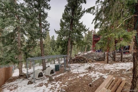35 Zip Ln, Bailey, CO 80421 photo 28