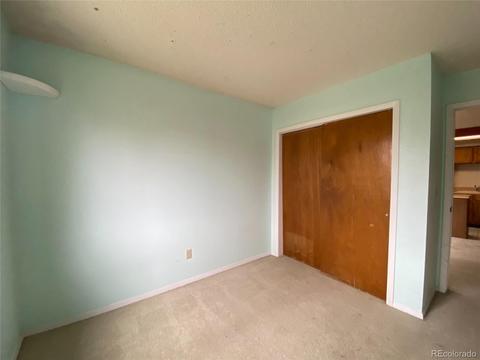 4732 S Taft St, Morrison, CO 80465 photo 11