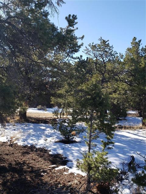 114 Cedar Ridge Rd, Mosca, CO 81146 photo 5