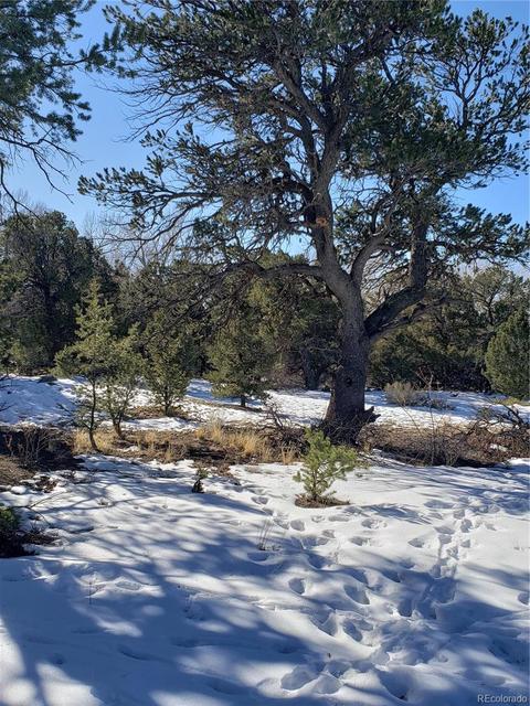 114 Cedar Ridge Rd, Mosca, CO 81146 photo 1