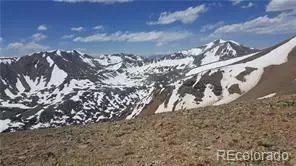 Ms #5387- King William-100%, Alma, CO 80420