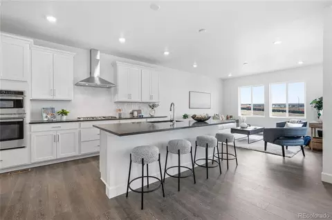 17095 W 92nd Loop, Arvada, CO 80007 photo 2