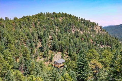 8874 S Doubleheader Ranch Rd, Morrison, CO 80465 photo 36