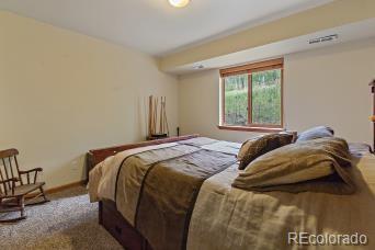 338 S Random Rd, Bailey, CO 80421 photo 12