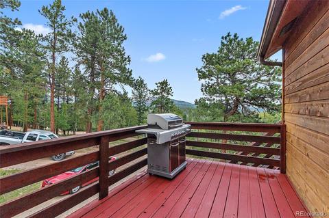 338 S Random Rd, Bailey, CO 80421 photo 16