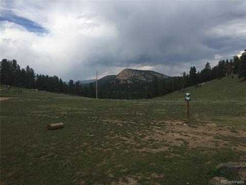 338 S Random Rd, Bailey, CO 80421 photo 19