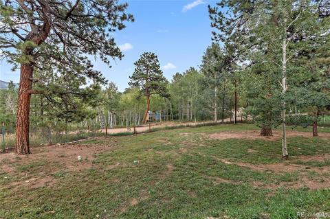 338 S Random Rd, Bailey, CO 80421 photo 14