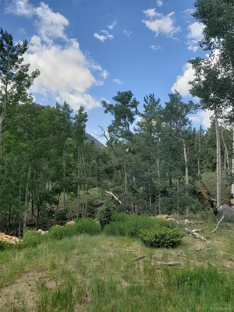 10 Th St, Jasper, CO 81144 photo 3