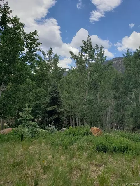 10 Th St, Jasper, CO 81144 photo 8
