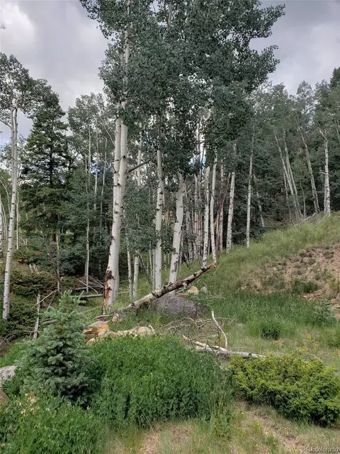 10 Th St, Jasper, CO 81144 photo 9