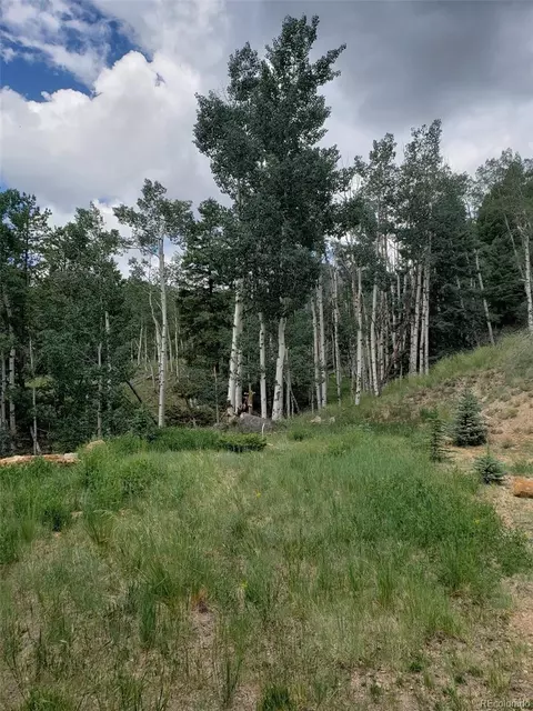 10 Th St, Jasper, CO 81144 photo 4