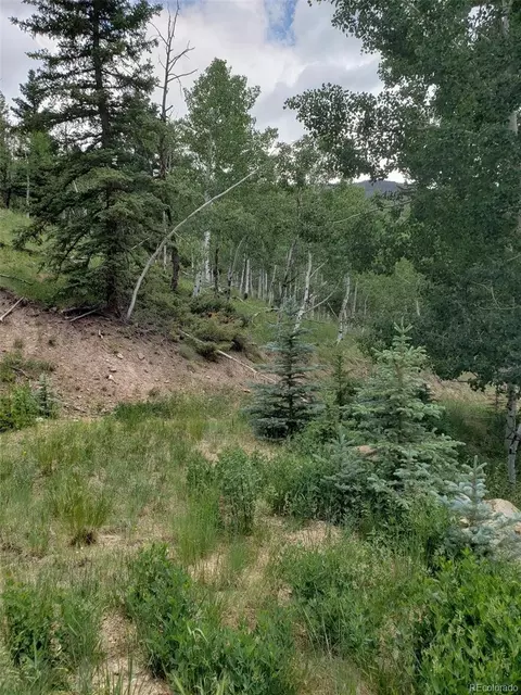 10 Th St, Jasper, CO 81144 photo 11
