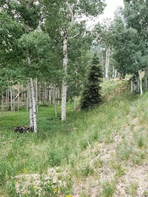 10 Th St, Jasper, CO 81144 photo 2
