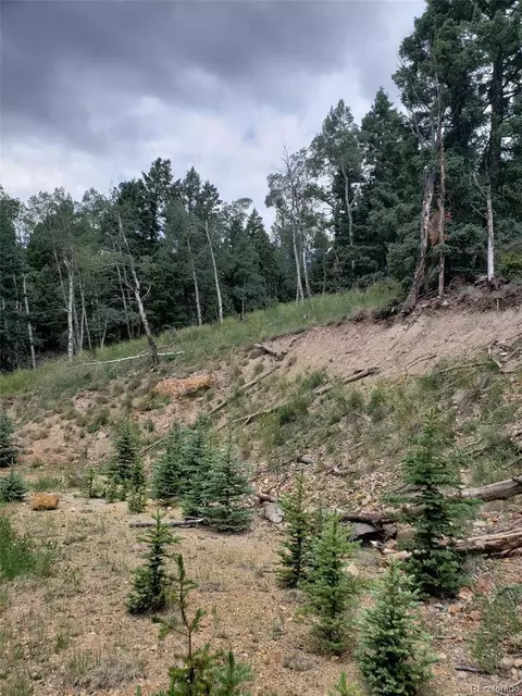 10 Th St, Jasper, CO 81144 photo 5