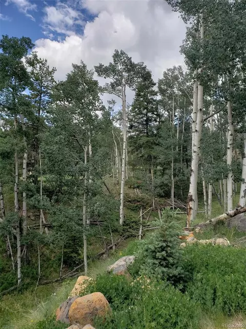 10 Th St, Jasper, CO 81144 photo 10