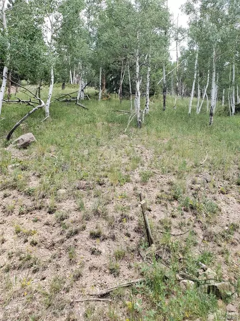 10 Th St, Jasper, CO 81144 photo 6