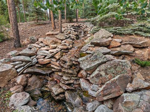 8510 S Warhawk Rd, Conifer, CO 80433 photo 6