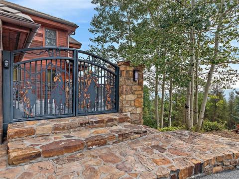 8510 S Warhawk Rd, Conifer, CO 80433 photo 7