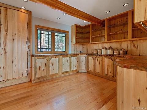 8510 S Warhawk Rd, Conifer, CO 80433 photo 14