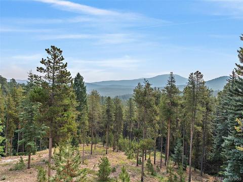 8510 S Warhawk Rd, Conifer, CO 80433 photo 35