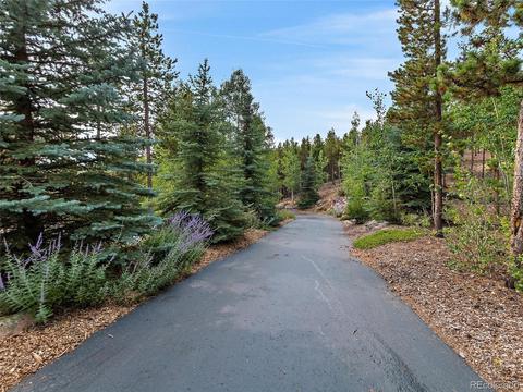 8510 S Warhawk Rd, Conifer, CO 80433 photo 36