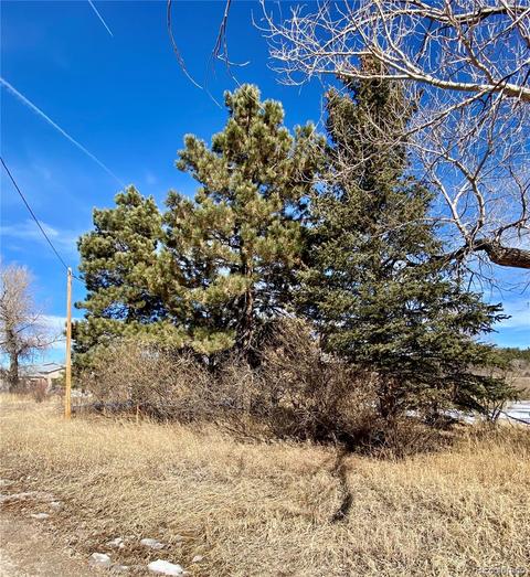 24100 Elbert St, Elbert, CO 80106 photo 1
