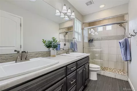 Bath - 19147 E 54th Pl, Denver, CO 80249 photo 2 of 3